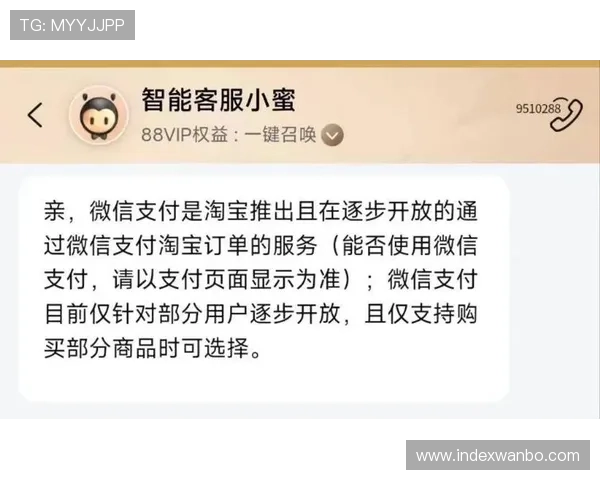万博app客服常见问题解答,帮助用户快速解决登录与支付相关疑问